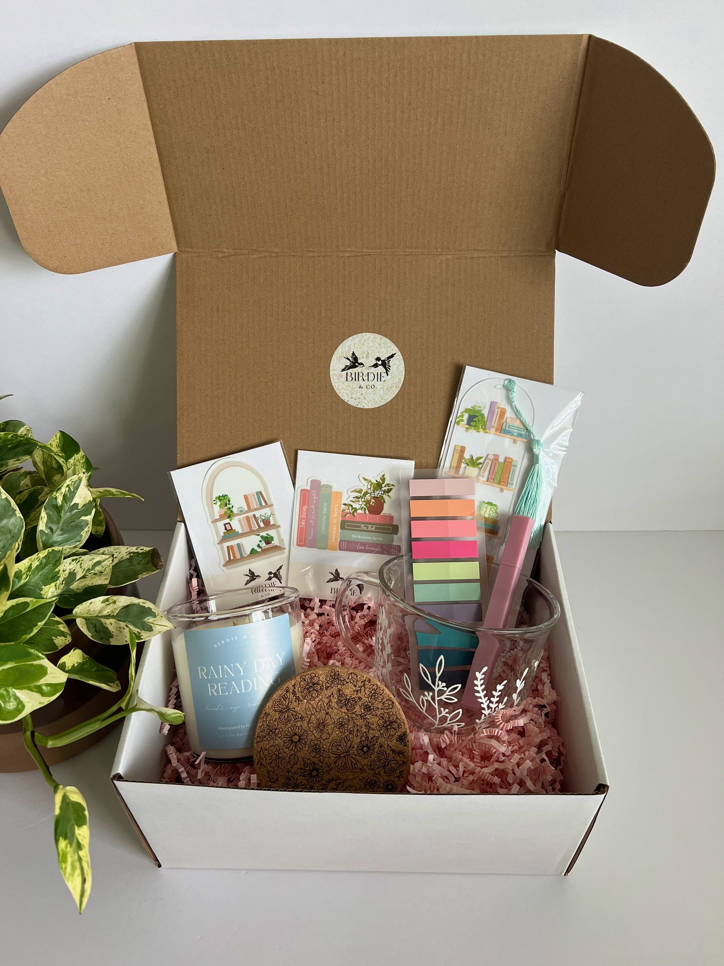 Reading Essentials Mystery Gift Box