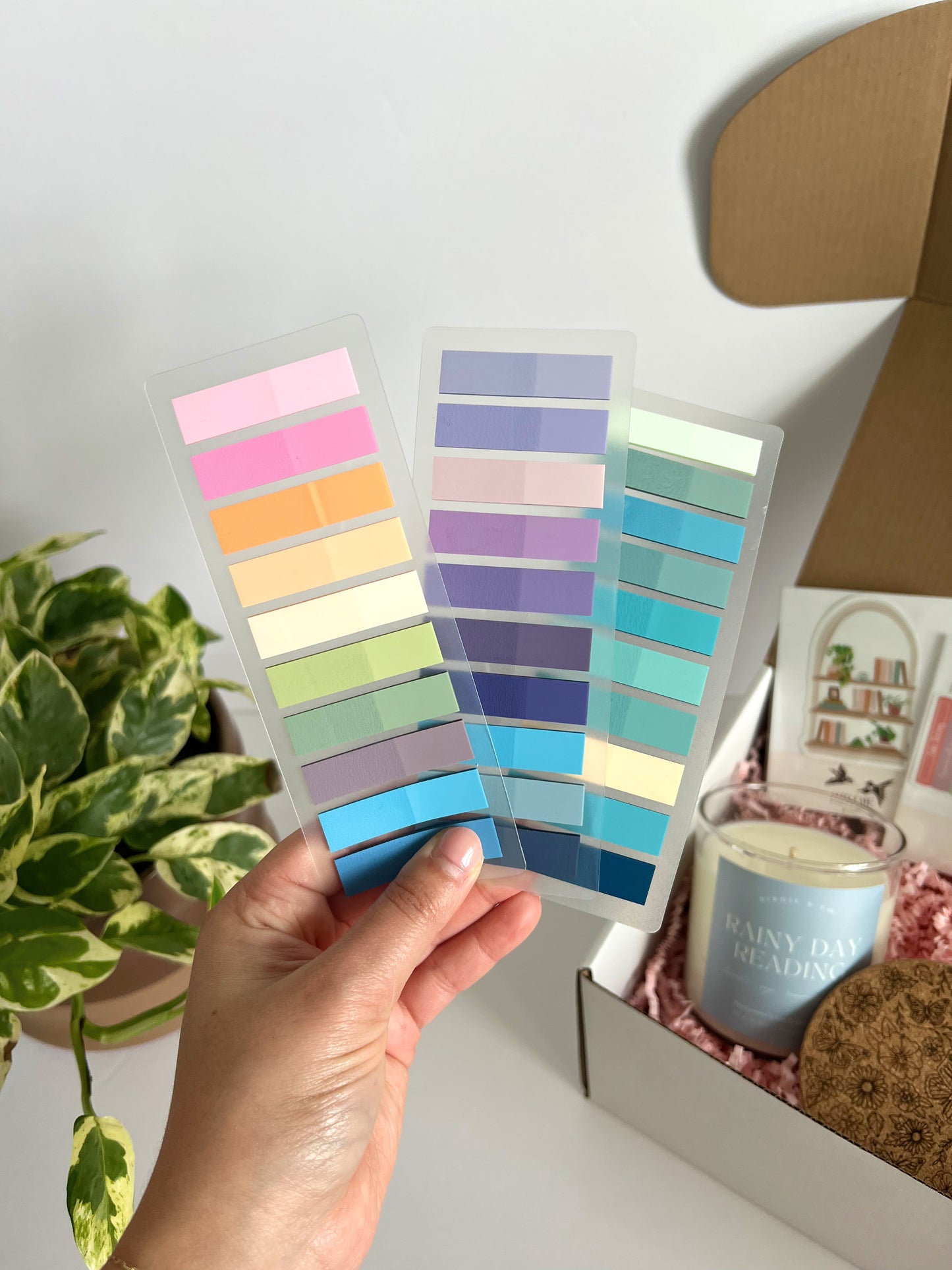 Reading Essentials Mystery Gift Box