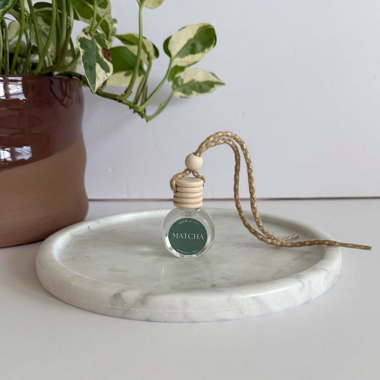 Car air freshener with a plant in the background on a white surface