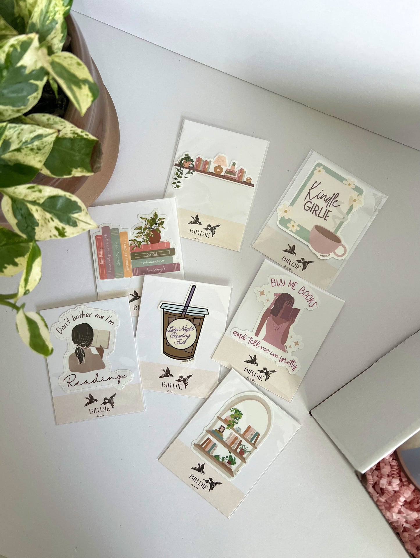 Reading Essentials Mystery Gift Box