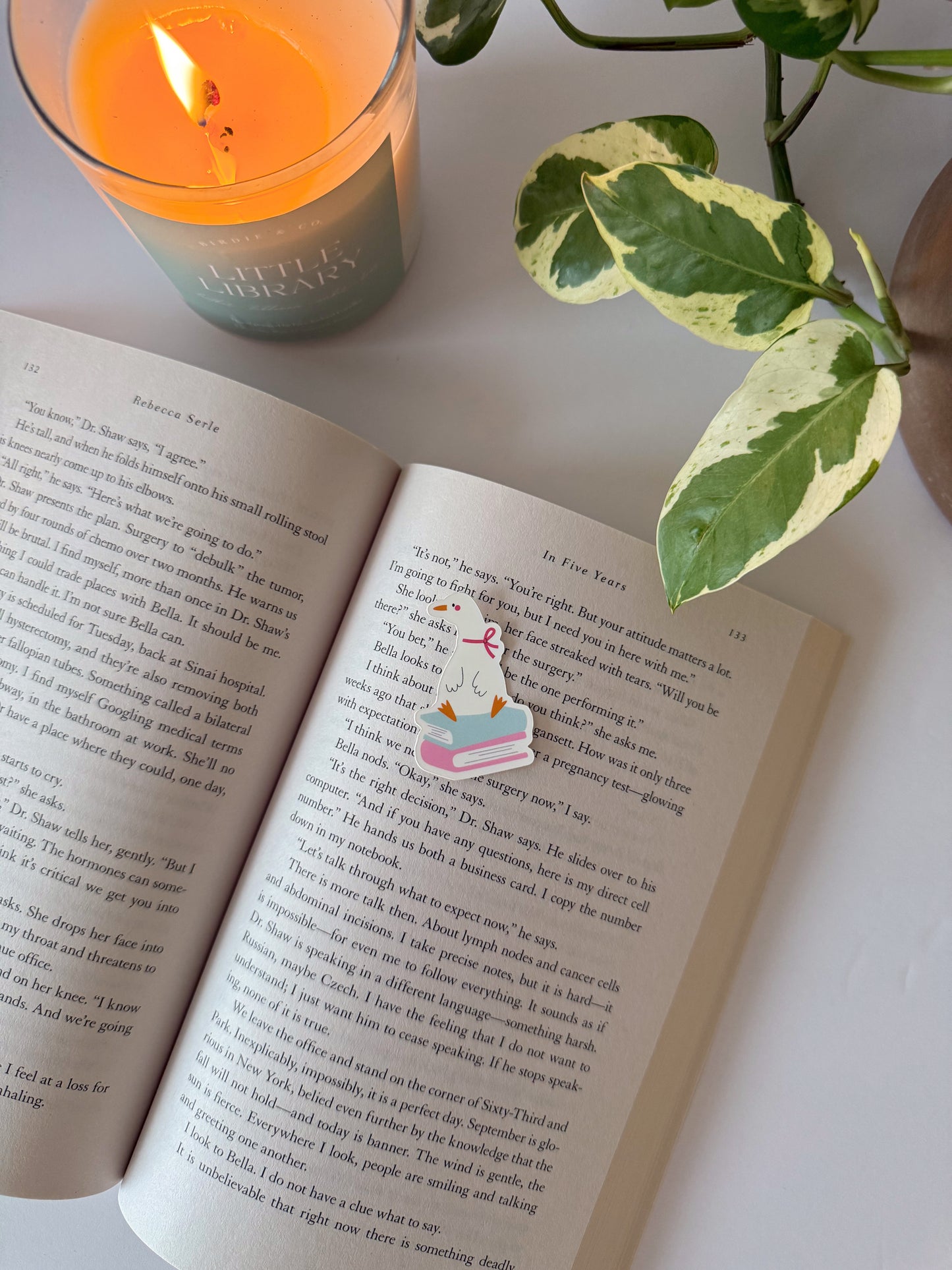 Reading Goose Sticker