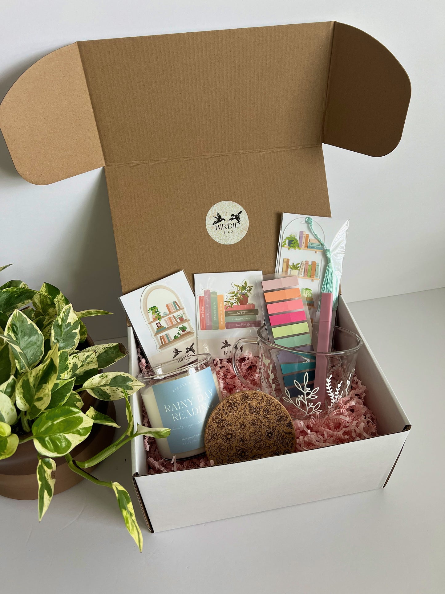 Reading Essentials Mystery Gift Box