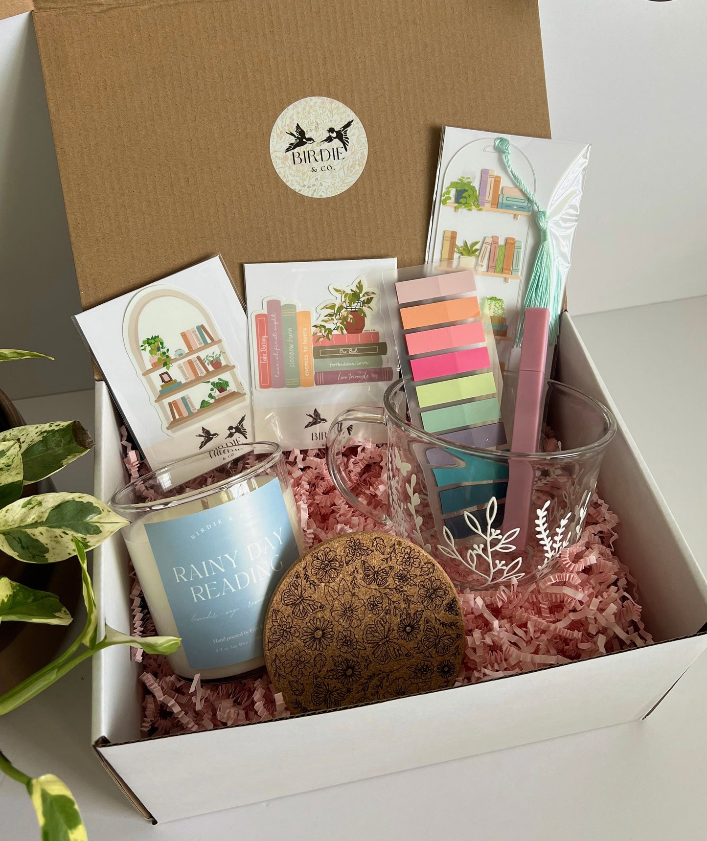 Reading Essentials Mystery Gift Box