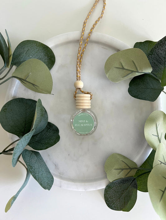 Mint and Eucalyptus Car Diffuser