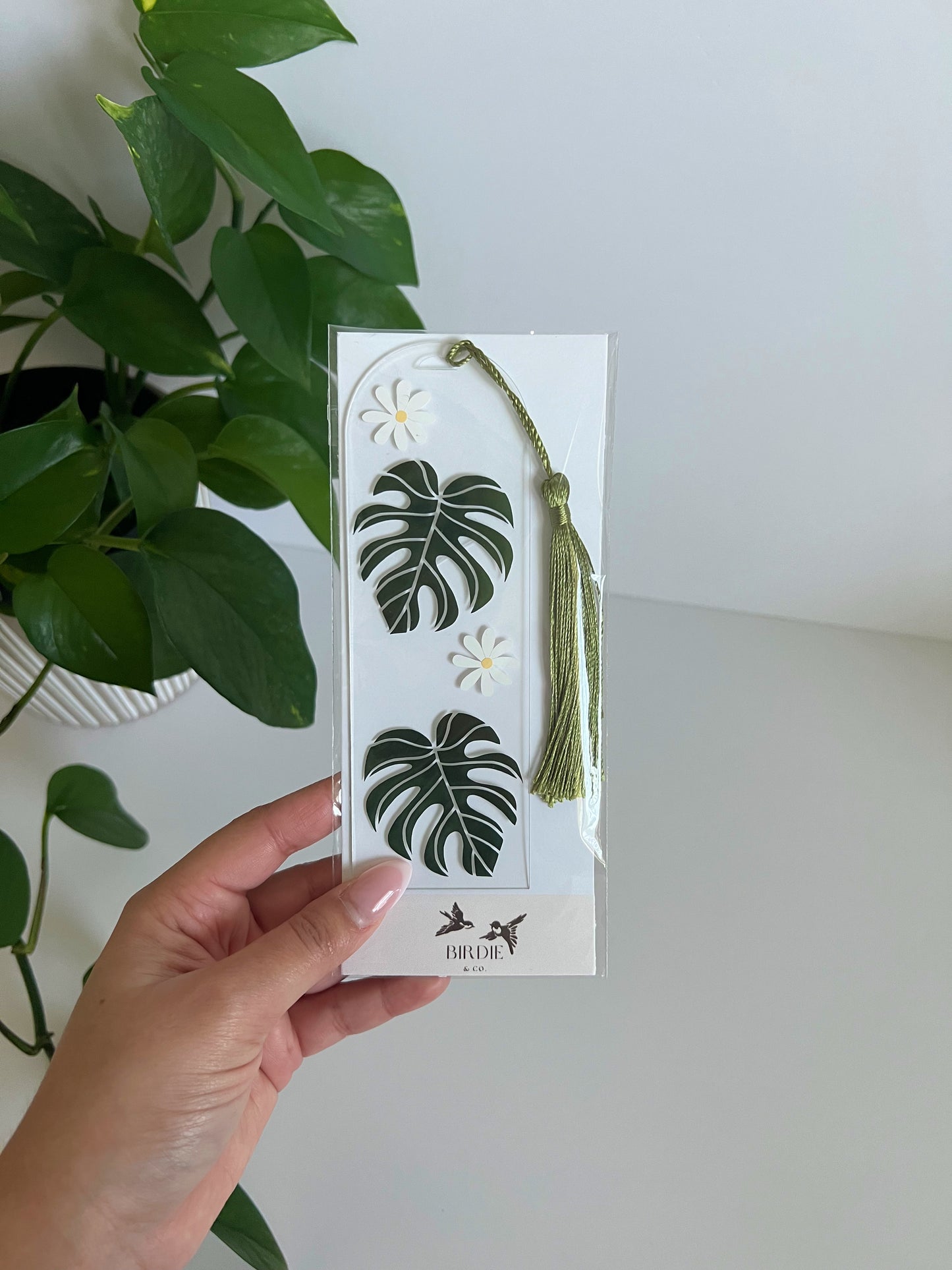 Plant Lover Gift Box