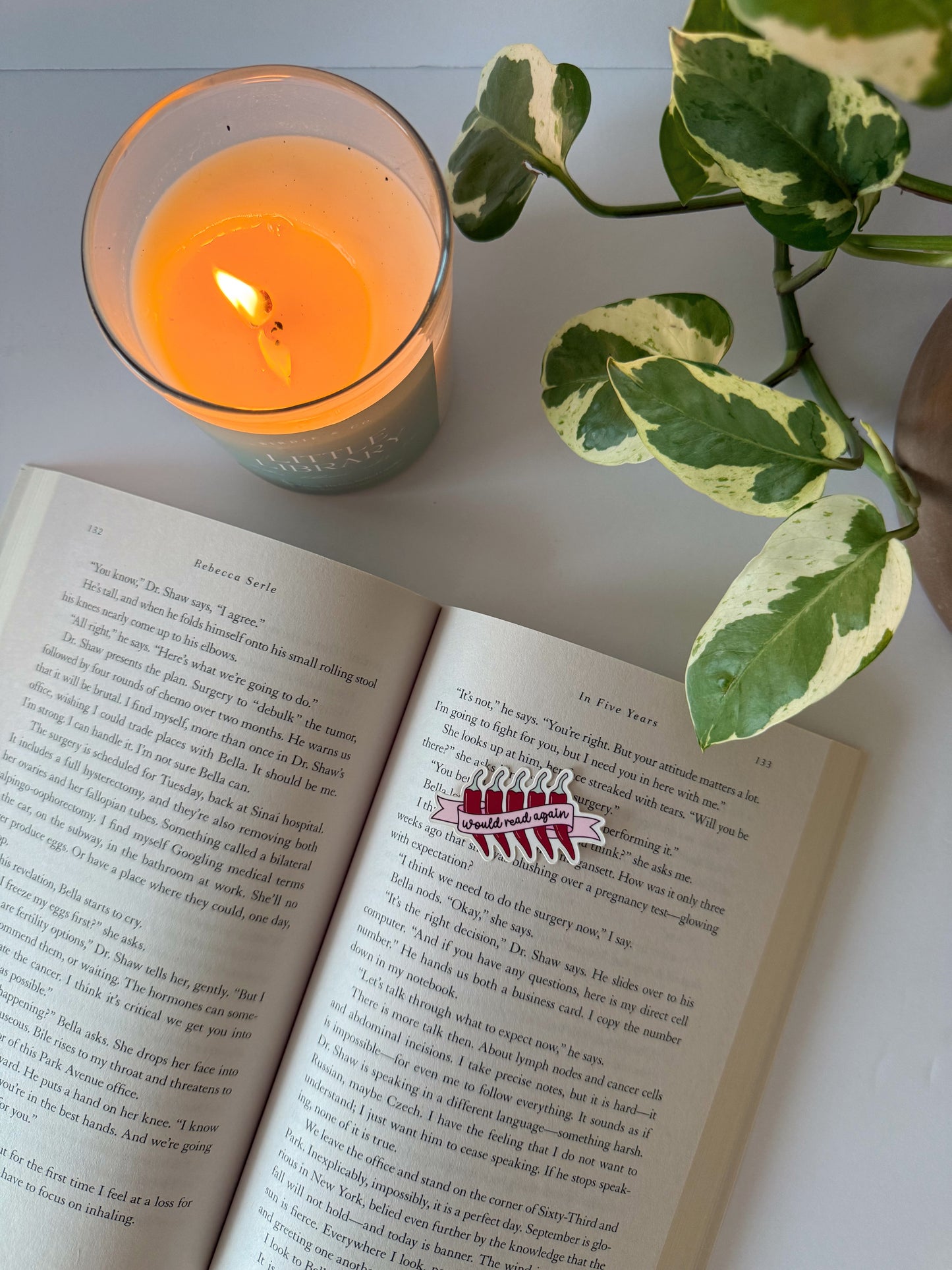 Would Read Again Chili Pepper Sticker