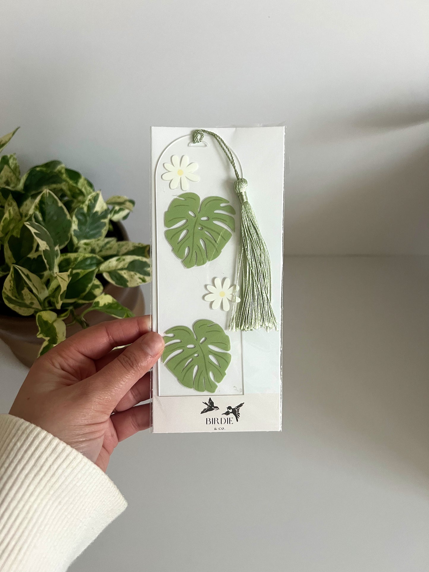 Plant Lover Gift Box